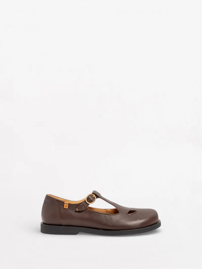 Arenisca N5873